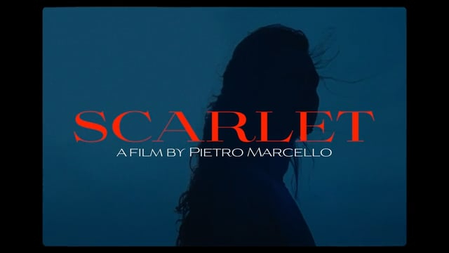 L'Envol / Trailer