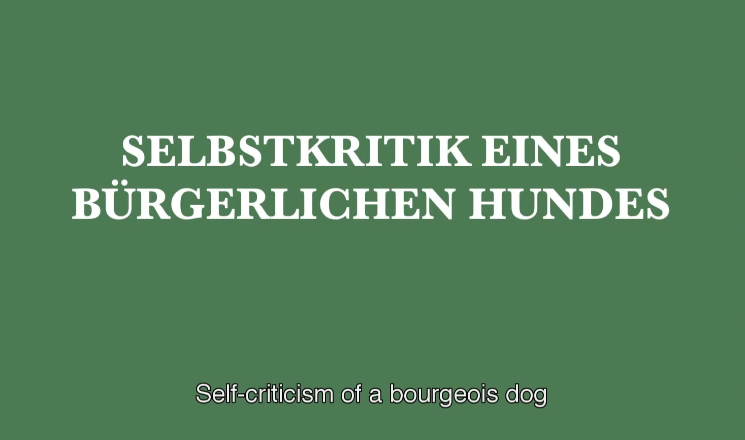 Video